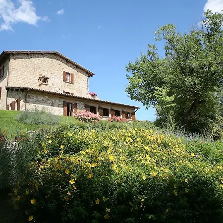 Casalta Vacanze